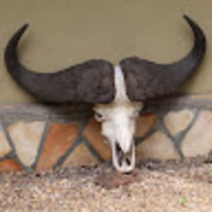 Meet your Posher, Camille